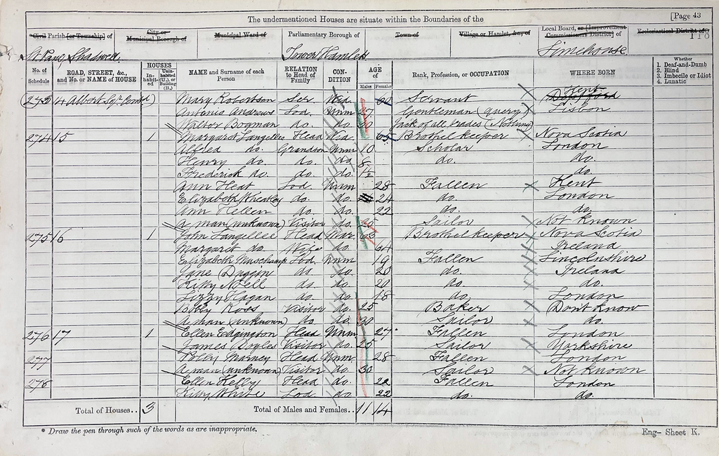 A list of names from a the 1871 Census. In the occupation column are those marked as 'fallen'.